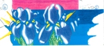 Iris Abstract by Enrique Sepulveda - 2024